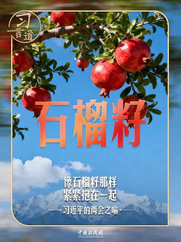  石榴籽喻意深远；民族团结根基牢；总书记反复寄语。 文化旅游 石榴籽喻意深远；民族团结根基牢；总书记反复寄语。 文化旅游