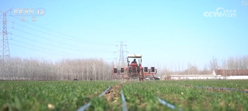  三重防线筑牢夏粮根基；主产区春管全面展开，科技助力苗情转化。 新闻 三重防线筑牢夏粮根基；主产区春管全面展开，科技助力苗情转化。 新闻 三重防线筑牢夏粮根基；主产区春管全面展开，科技助力苗情转化。 新闻 三重防线筑牢夏粮根基；主产区春管全面展开，科技助力苗情转化。 新闻 三重防线筑牢夏粮根基；主产区春管全面展开，科技助力苗情转化。 新闻 三重防线筑牢夏粮根基；主产区春管全面展开，科技助力苗情转化。 新闻 三重防线筑牢夏粮根基；主产区春管全面展开，科技助力苗情转化。 新闻 三重防线筑牢夏粮根基；主产区春管全面展开，科技助力苗情转化。 新闻 三重防线筑牢夏粮根基；主产区春管全面展开，科技助力苗情转化。 新闻 三重防线筑牢夏粮根基；主产区春管全面展开，科技助力苗情转化。 新闻