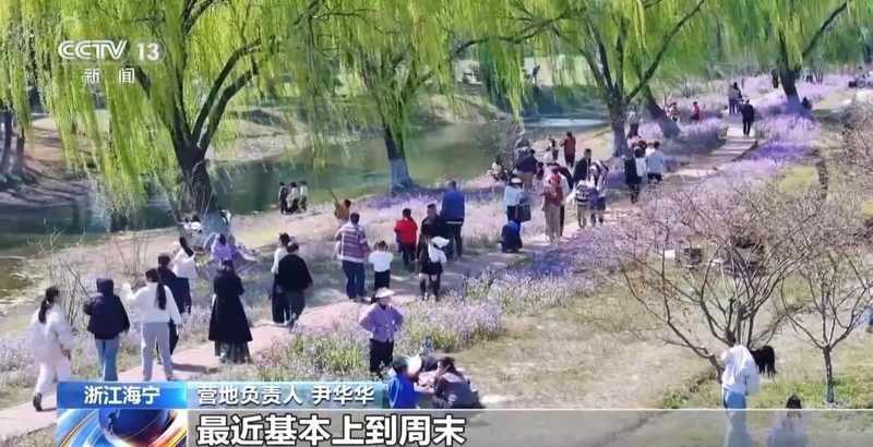 春风拂面,花海绽放;茶园采摘,春菜飘香。 文化旅游