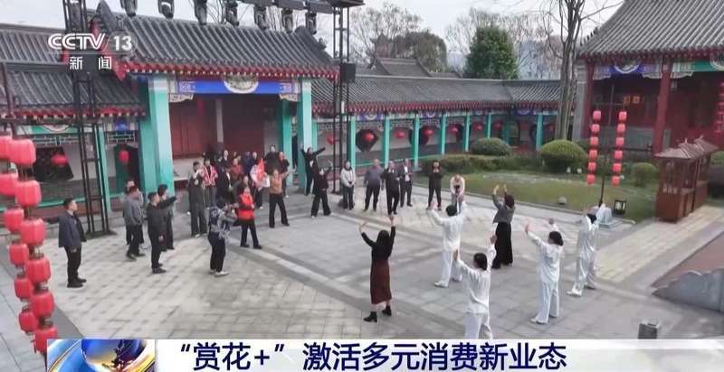 春风拂面,花海绽放;茶园采摘,春菜飘香。 文化旅游