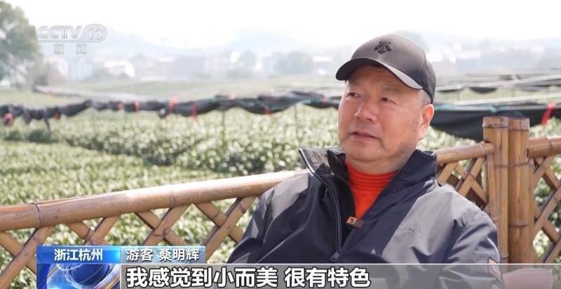春风拂面,花海绽放;茶园采摘,春菜飘香。 文化旅游