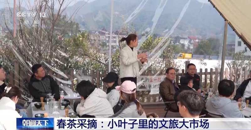 春风拂面,花海绽放;茶园采摘,春菜飘香。 文化旅游