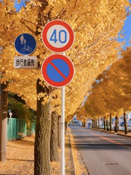 银行多渠道补充资本，优先股规模已跌破5000亿元；永续债逐步取代高成本工具，成为主流选择。