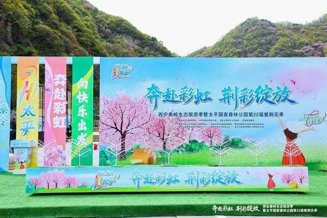 技术视角拆解：太平国家森林公园紫荆花季四大创新模块如何重塑生态旅游体验
