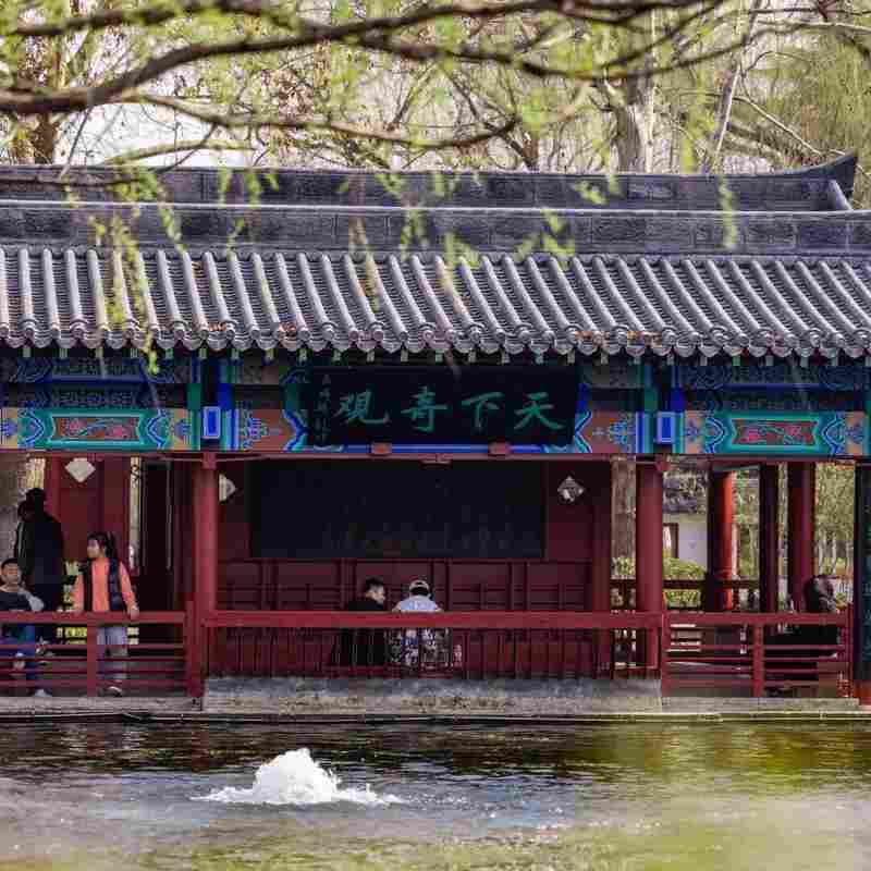 当春假成为现实:一个三口之家的期待、焦虑与破局之路 情感心理