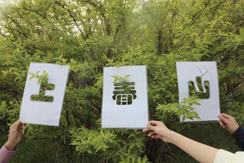 当春假成为现实:一个三口之家的期待、焦虑与破局之路 情感心理