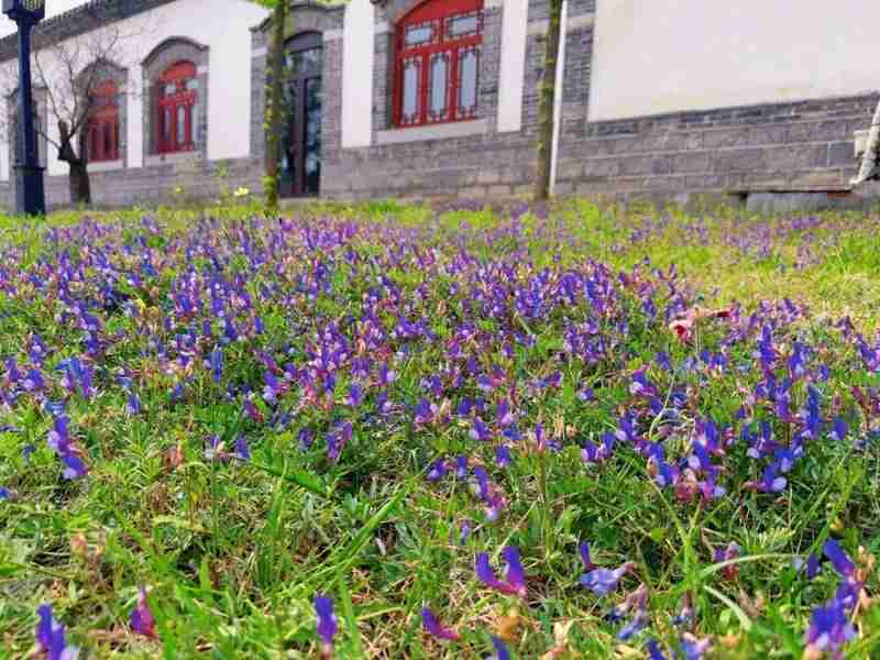 当春假成为现实:一个三口之家的期待、焦虑与破局之路 情感心理