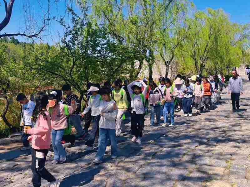 当春假成为现实:一个三口之家的期待、焦虑与破局之路 情感心理