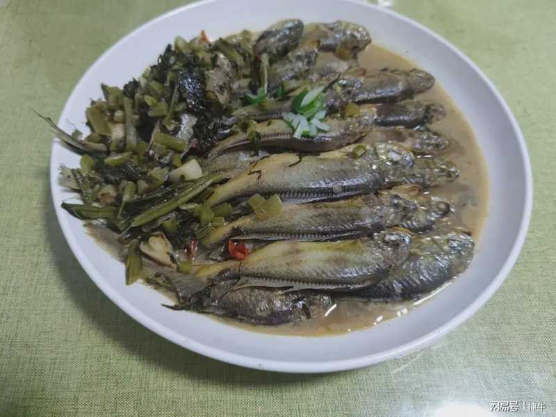 海鲜食材料学：谷雨至立夏期间的四种野生海鱼生物学特性与时令烹饪技术解析