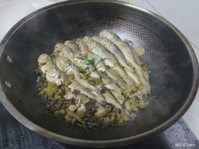  海鲜食材料学：谷雨至立夏期间的四种野生海鱼生物学特性与时令烹饪技术解析 新闻 海鲜食材料学：谷雨至立夏期间的四种野生海鱼生物学特性与时令烹饪技术解析 新闻 海鲜食材料学：谷雨至立夏期间的四种野生海鱼生物学特性与时令烹饪技术解析 新闻 海鲜食材料学：谷雨至立夏期间的四种野生海鱼生物学特性与时令烹饪技术解析 新闻 海鲜食材料学：谷雨至立夏期间的四种野生海鱼生物学特性与时令烹饪技术解析 新闻