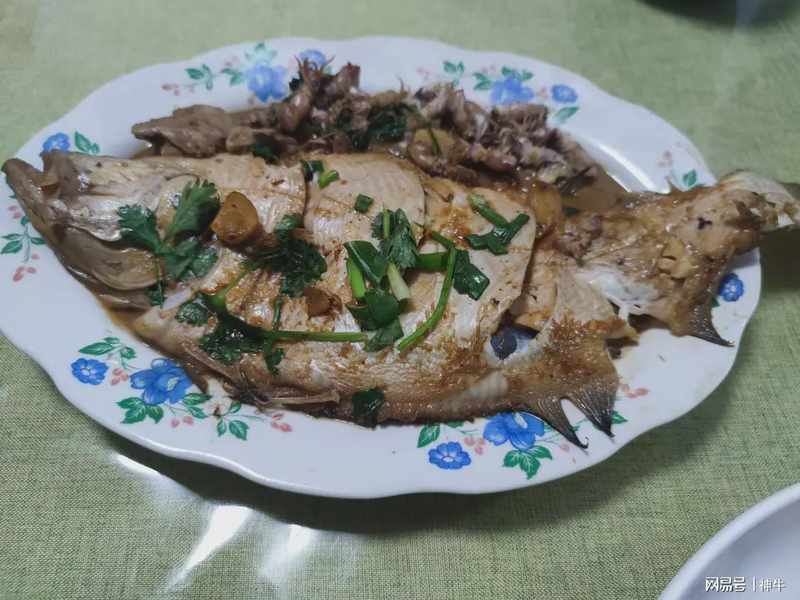  海鲜食材料学：谷雨至立夏期间的四种野生海鱼生物学特性与时令烹饪技术解析 新闻 海鲜食材料学：谷雨至立夏期间的四种野生海鱼生物学特性与时令烹饪技术解析 新闻 海鲜食材料学：谷雨至立夏期间的四种野生海鱼生物学特性与时令烹饪技术解析 新闻 海鲜食材料学：谷雨至立夏期间的四种野生海鱼生物学特性与时令烹饪技术解析 新闻 海鲜食材料学：谷雨至立夏期间的四种野生海鱼生物学特性与时令烹饪技术解析 新闻