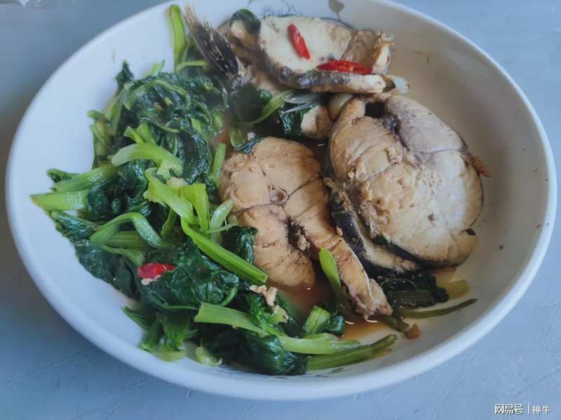 海鲜食材料学：谷雨至立夏期间的四种野生海鱼生物学特性与时令烹饪技术解析 新闻 海鲜食材料学：谷雨至立夏期间的四种野生海鱼生物学特性与时令烹饪技术解析 新闻 海鲜食材料学：谷雨至立夏期间的四种野生海鱼生物学特性与时令烹饪技术解析 新闻 海鲜食材料学：谷雨至立夏期间的四种野生海鱼生物学特性与时令烹饪技术解析 新闻 海鲜食材料学：谷雨至立夏期间的四种野生海鱼生物学特性与时令烹饪技术解析 新闻