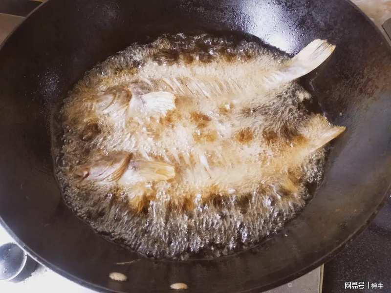  海鲜食材料学：谷雨至立夏期间的四种野生海鱼生物学特性与时令烹饪技术解析 新闻 海鲜食材料学：谷雨至立夏期间的四种野生海鱼生物学特性与时令烹饪技术解析 新闻 海鲜食材料学：谷雨至立夏期间的四种野生海鱼生物学特性与时令烹饪技术解析 新闻 海鲜食材料学：谷雨至立夏期间的四种野生海鱼生物学特性与时令烹饪技术解析 新闻 海鲜食材料学：谷雨至立夏期间的四种野生海鱼生物学特性与时令烹饪技术解析 新闻