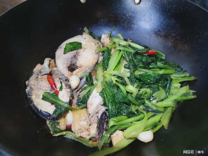  海鲜食材料学：谷雨至立夏期间的四种野生海鱼生物学特性与时令烹饪技术解析 新闻 海鲜食材料学：谷雨至立夏期间的四种野生海鱼生物学特性与时令烹饪技术解析 新闻 海鲜食材料学：谷雨至立夏期间的四种野生海鱼生物学特性与时令烹饪技术解析 新闻 海鲜食材料学：谷雨至立夏期间的四种野生海鱼生物学特性与时令烹饪技术解析 新闻 海鲜食材料学：谷雨至立夏期间的四种野生海鱼生物学特性与时令烹饪技术解析 新闻