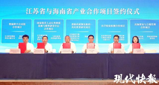  宁琼协作：从战略框架到产业闭环的深度解码 新闻 宁琼协作：从战略框架到产业闭环的深度解码 新闻 宁琼协作：从战略框架到产业闭环的深度解码 新闻 宁琼协作：从战略框架到产业闭环的深度解码 新闻