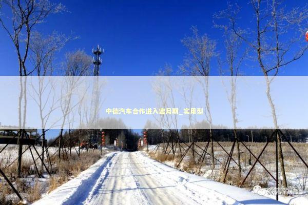 中德汽车合作进入蜜月期_实用型