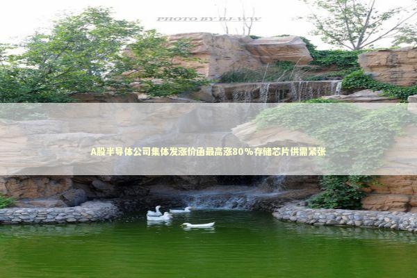 A股半导体公司集体发涨价函最高涨80%存储芯片供需紧张