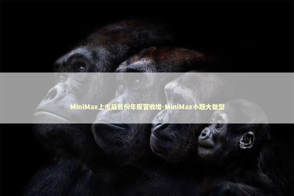 MiniMax上市后首份年报营收增-MiniMax小题大做型