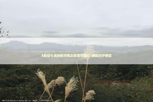 A股超七成创新药概念股营收飘红-创新药抒情型