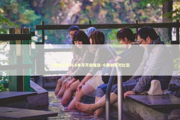 小鹏第二代VLA本月开启推送-小鹏智驾对比型