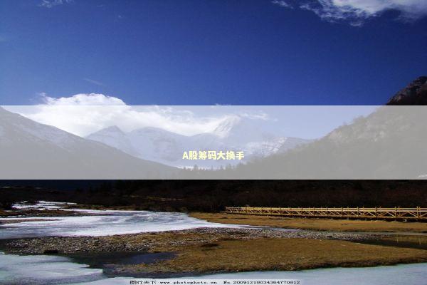 A股筹码大换手