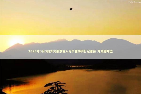 2026年3月3日外交部发言人毛宁主持例行记者会-外交趣味型