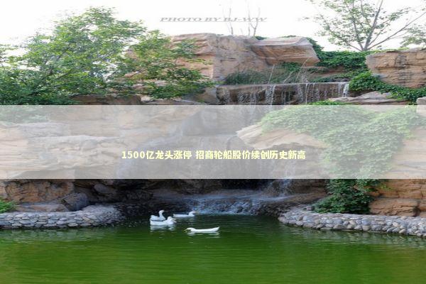 1500亿龙头涨停 招商轮船股价续创历史新高