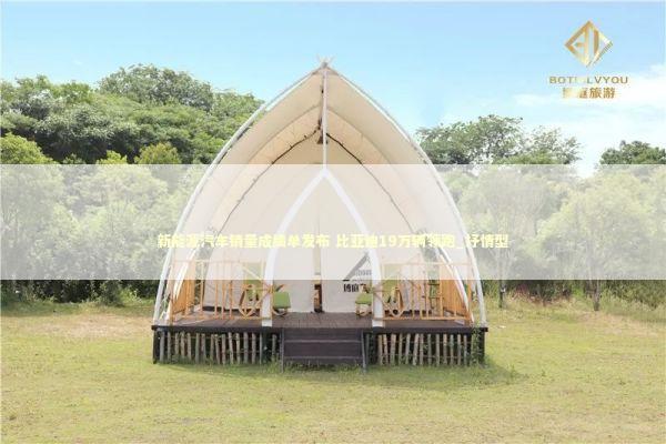 新能源汽车销量成绩单发布 比亚迪19万辆领跑_抒情型