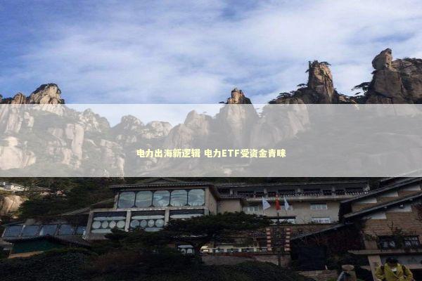 电力出海新逻辑 电力ETF受资金青睐