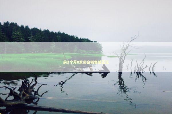 前2个月8家房企销售破百亿