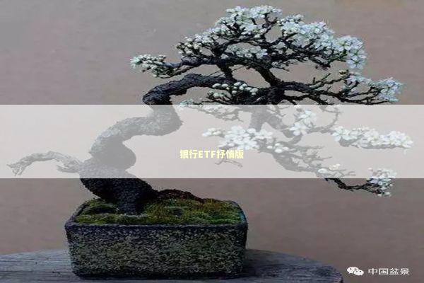 银行ETF抒情版