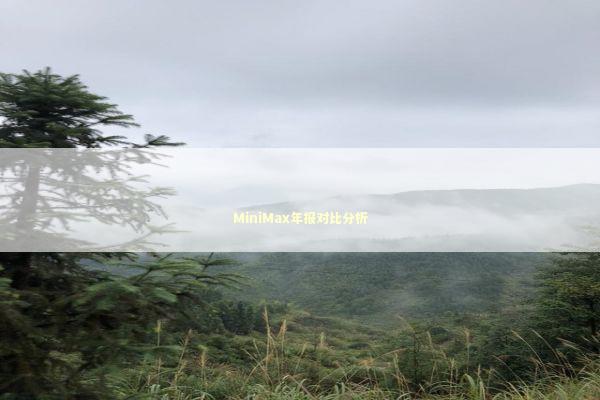 MiniMax年报对比分析