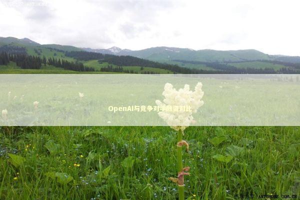 OpenAI与竞争对手融资对比