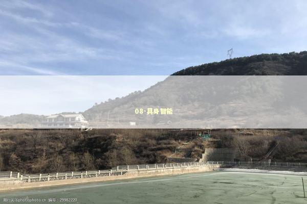08-具身智能