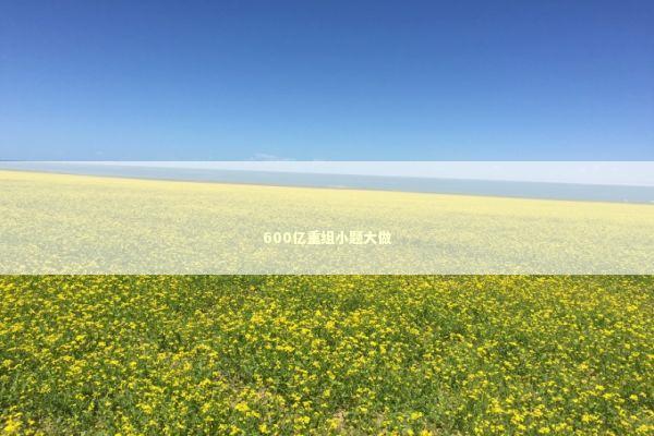 600亿重组小题大做