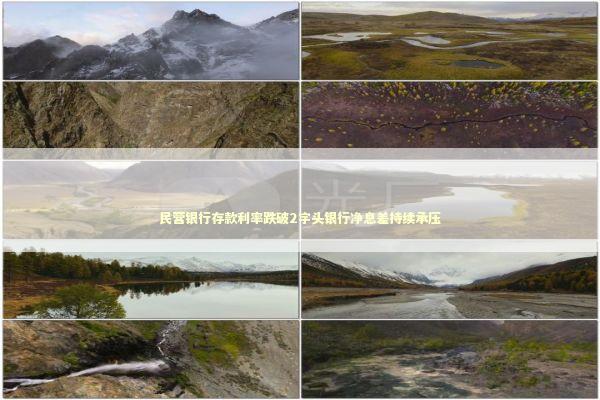 民营银行存款利率跌破2字头银行净息差持续承压 民营银行存款利率跌破2字头银行净息差持续承压 新闻