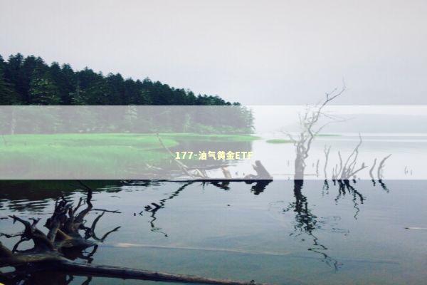 177-油气黄金ETF