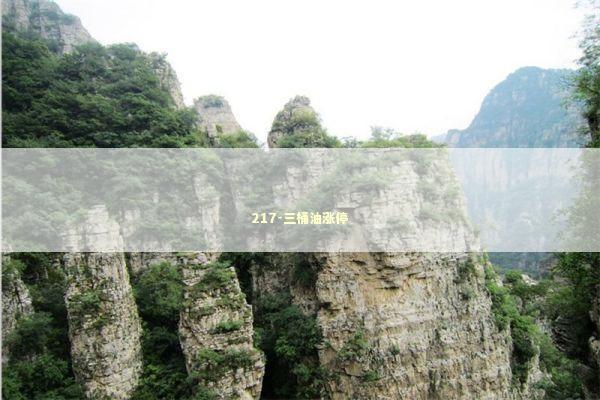 217-三桶油涨停