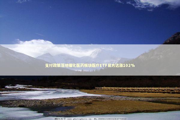 支付政策落地催化医药板块医疗ETF易方达涨102%
