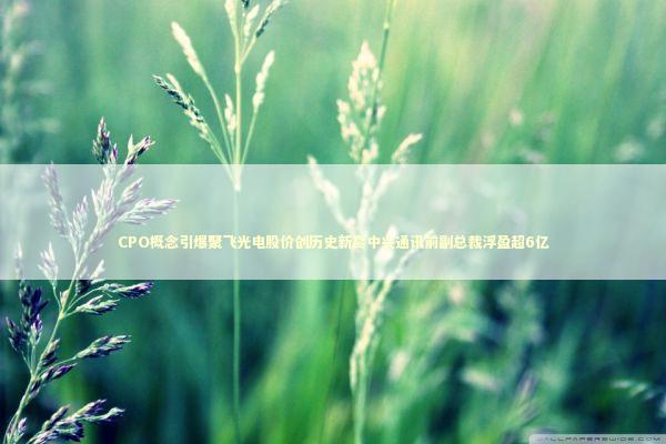 CPO概念引爆聚飞光电股价创历史新高中兴通讯前副总裁浮盈超6亿