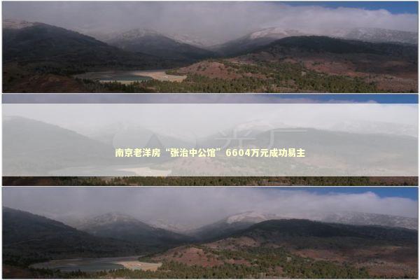 南京老洋房“张治中公馆”6604万元成功易主