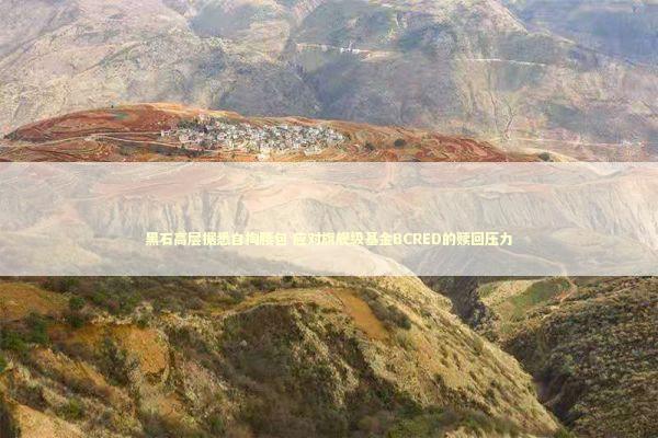 黑石高层据悉自掏腰包 应对旗舰级基金BCRED的赎回压力