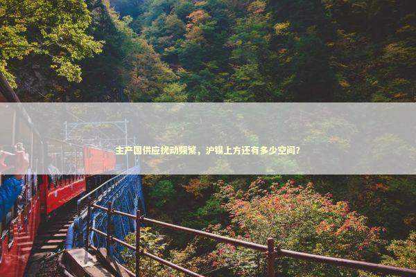 主产国供应扰动频繁，沪锡上方还有多少空间？