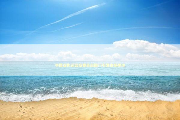 中国虚拟运营商要走出国门引发市场关注