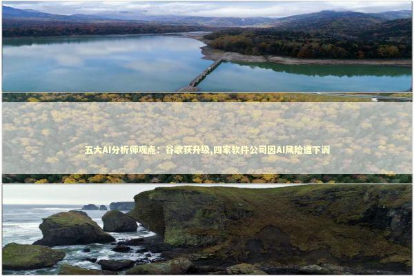 五大AI分析师观点：谷歌获升级,四家软件公司因AI风险遭下调