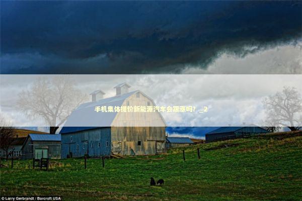 手机集体提价新能源汽车会跟涨吗？_2