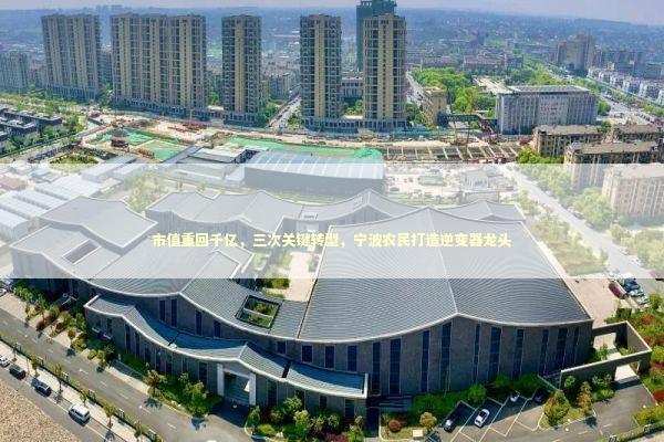 市值重回千亿，三次关键转型，宁波农民打造逆变器龙头