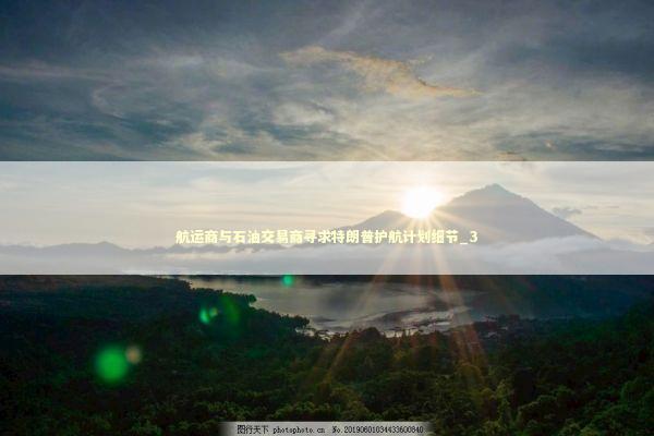 航运商与石油交易商寻求特朗普护航计划细节_3