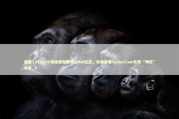 官宣｜FlagOS镜像登陆腾讯云HAI社区，快速部署OpenClaw实现“养虾”自由_2