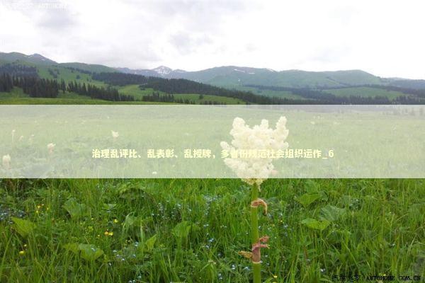 治理乱评比、乱表彰、乱授牌，多省份规范社会组织运作_6